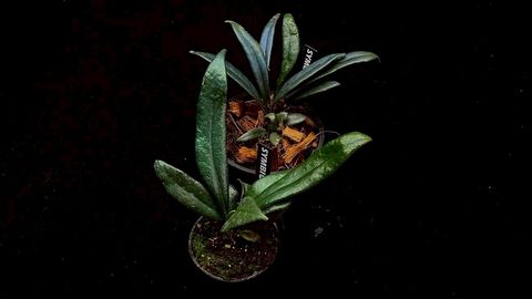 LINE_ALBUM_20251122_251122_145