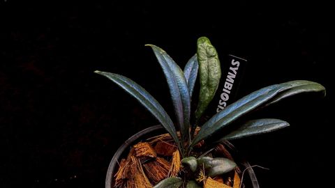 LINE_ALBUM_20251122_251122_97