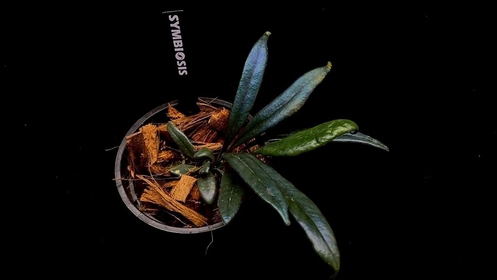 LINE_ALBUM_20251122_251122_103