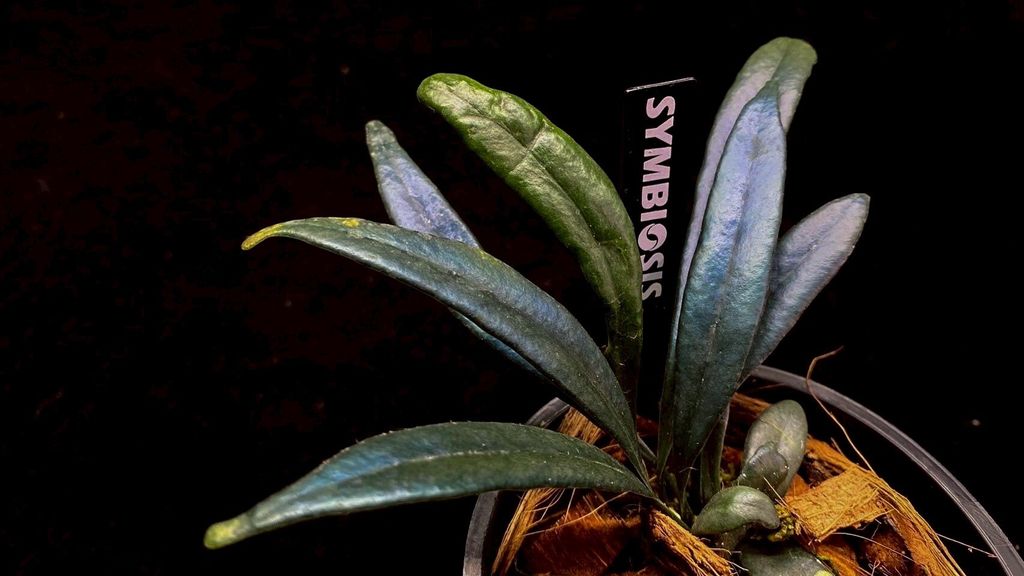 LINE_ALBUM_20251122_251122_104