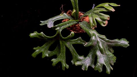 LINE_ALBUM_20251122_251122_107