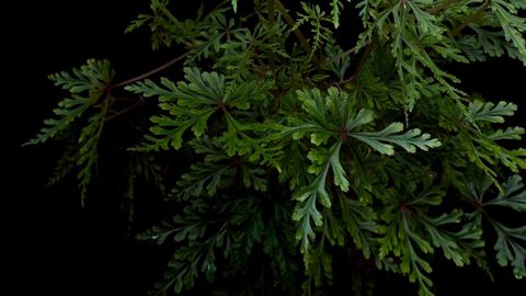 LINE_ALBUM_20251122_251122_127