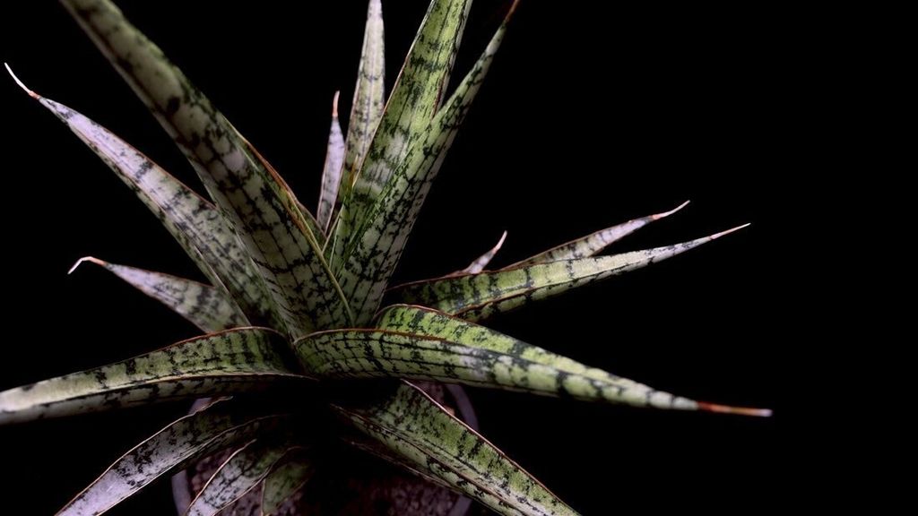 LINE_ALBUM_2025517_250517_12