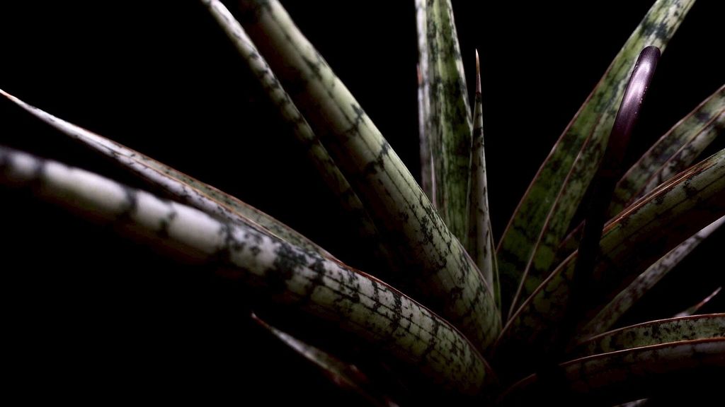 LINE_ALBUM_20251122_251122_14