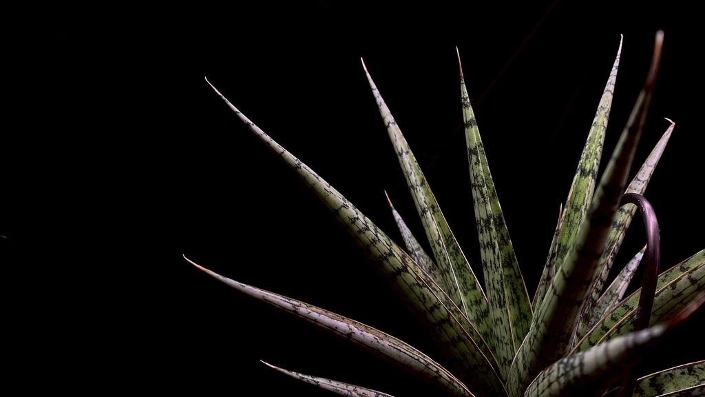 LINE_ALBUM_20251122_251122_15