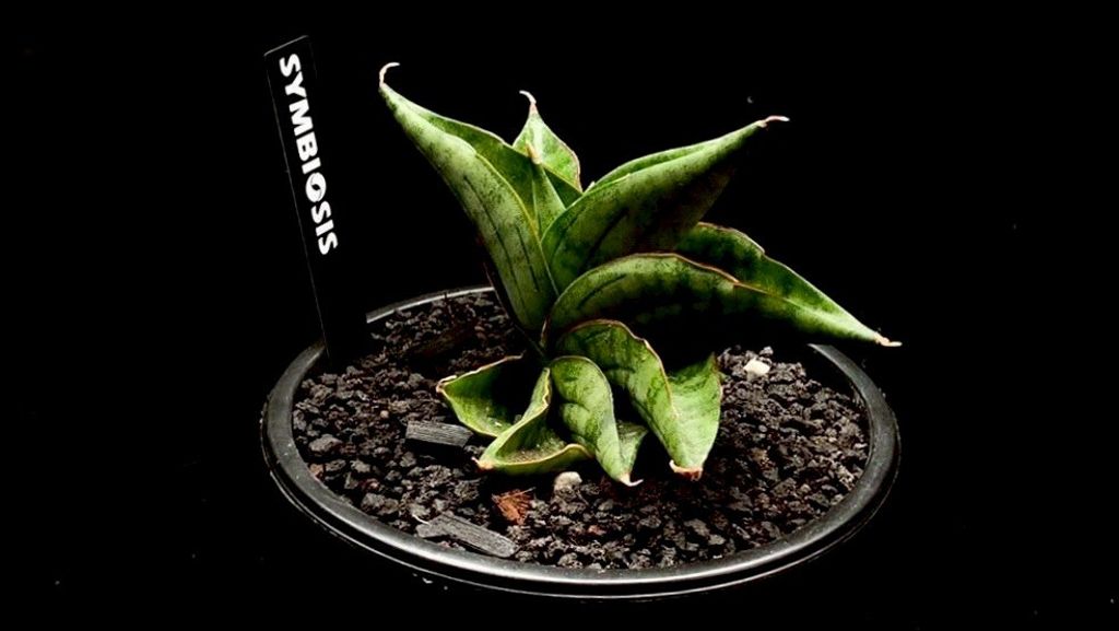 LINE_ALBUM_20251122_251122_35