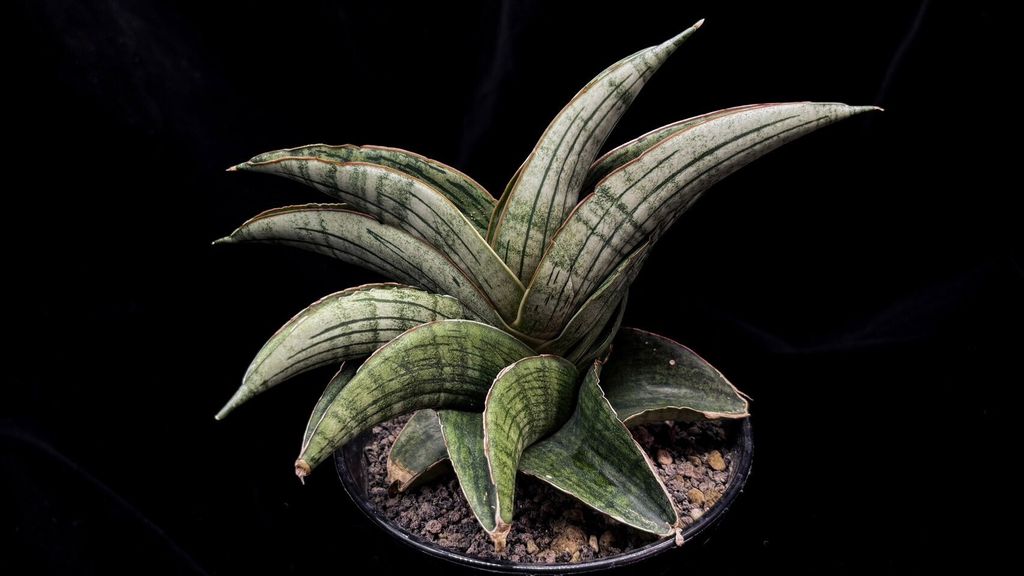 LINE_ALBUM_20241029_241029_70