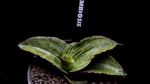 LINE_ALBUM_20251122_251122_68