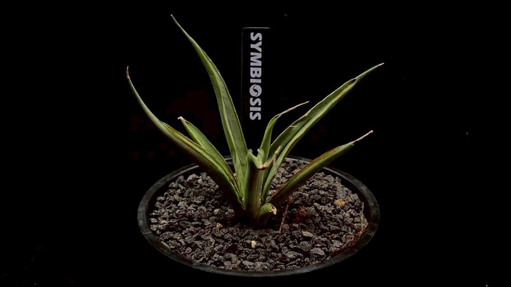 LINE_ALBUM_20251122_251122_66