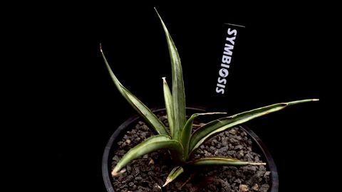 LINE_ALBUM_20251122_251122_71