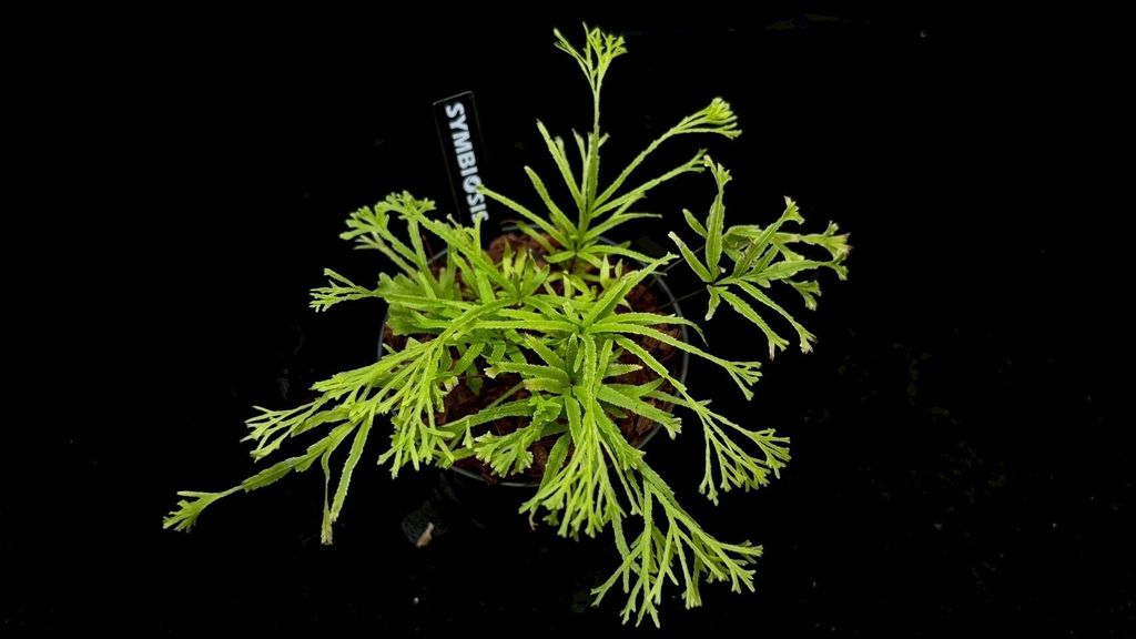 LINE_ALBUM_2025523_250523_10