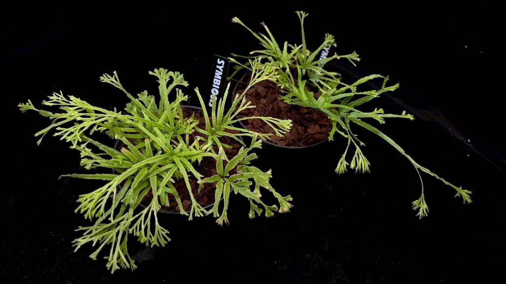 LINE_ALBUM_2025523_250523_11