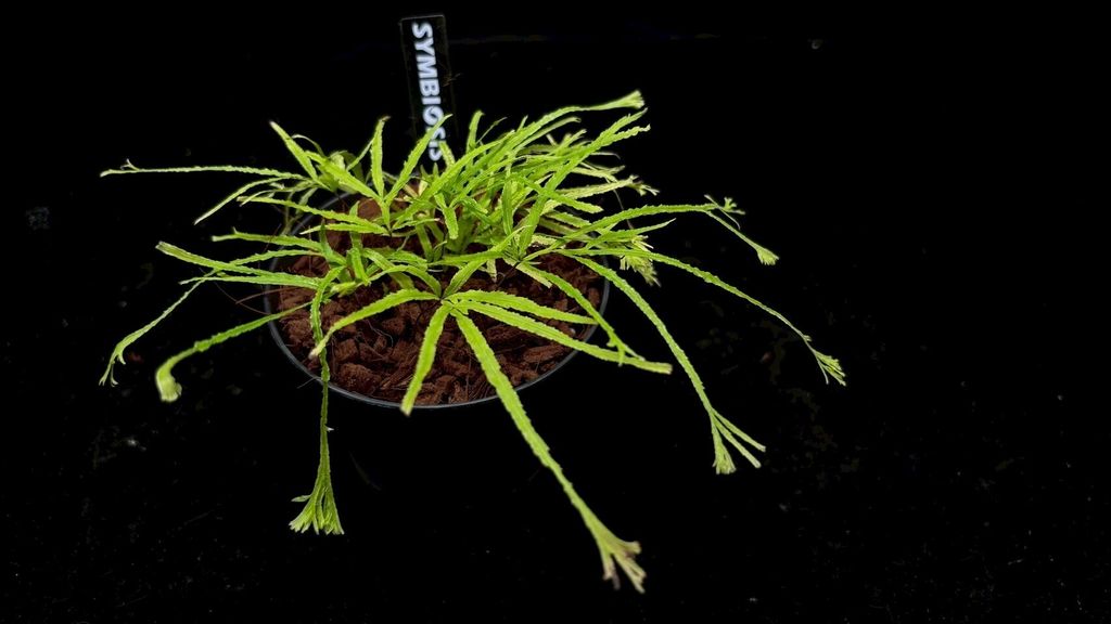 LINE_ALBUM_2025523_250523_7