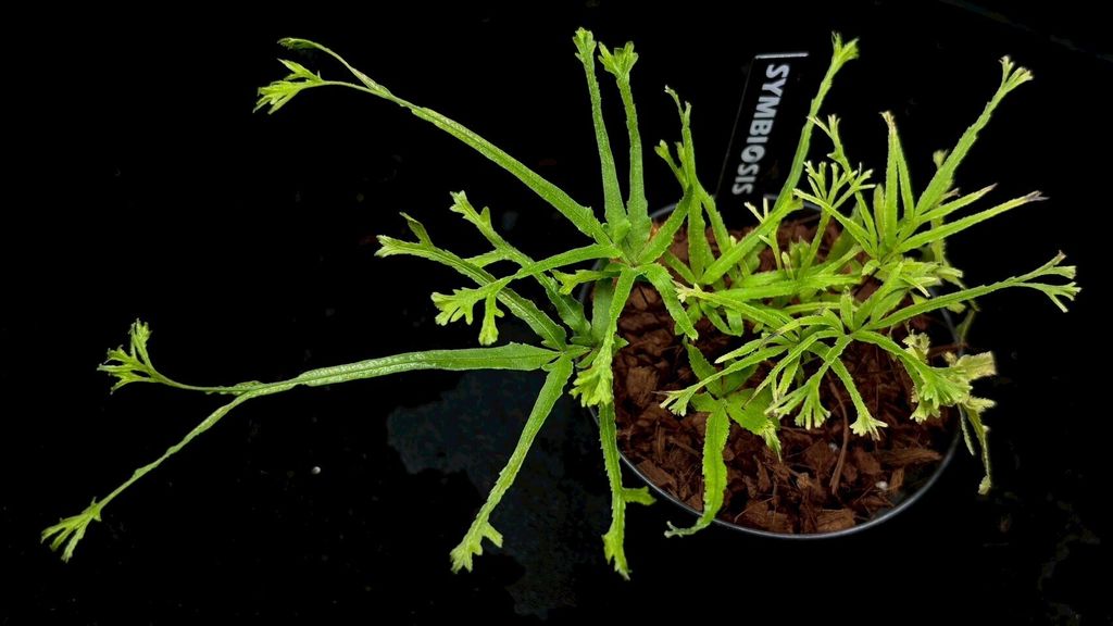 LINE_ALBUM_2025523_250523_8