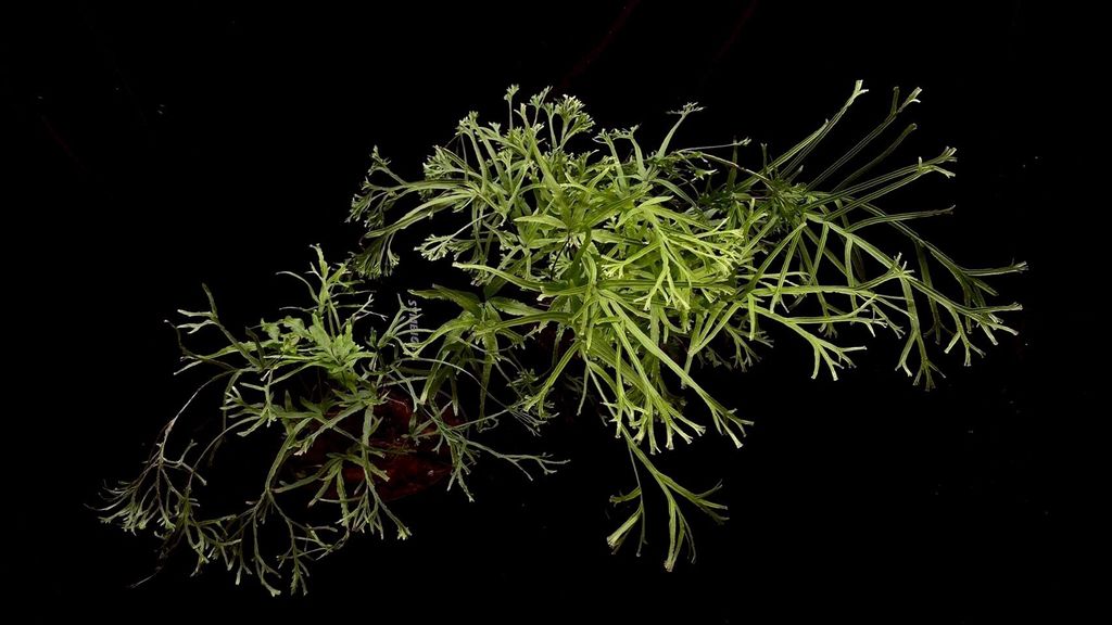 LINE_ALBUM_20251228_251228_3