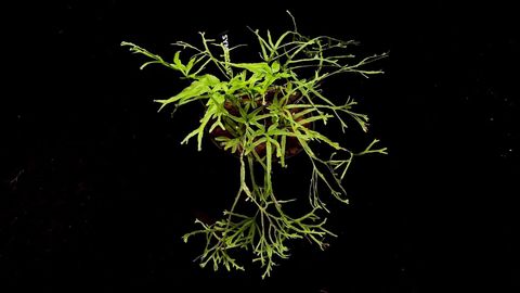 LINE_ALBUM_20251228_251228_6