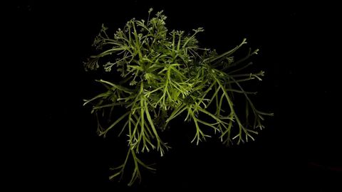 LINE_ALBUM_20251228_251228_5