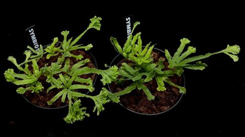 LINE_ALBUM_2025523_250523_5