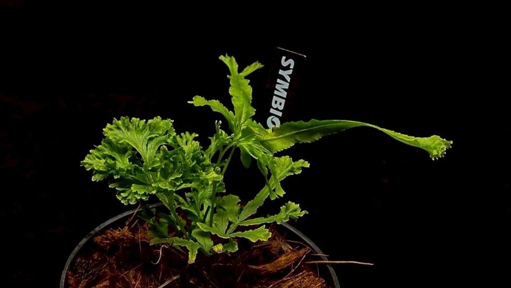 LINE_ALBUM_20251228_251228_9