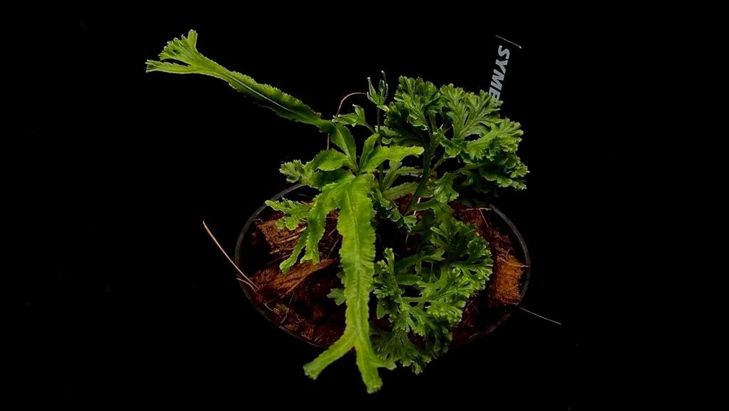 LINE_ALBUM_20251228_251228_10