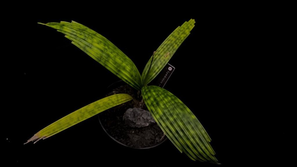 LINE_ALBUM_20240429上架_240429_22