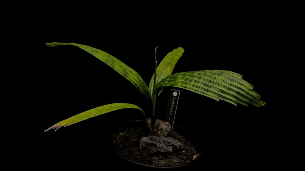 LINE_ALBUM_20240429上架_240429_21