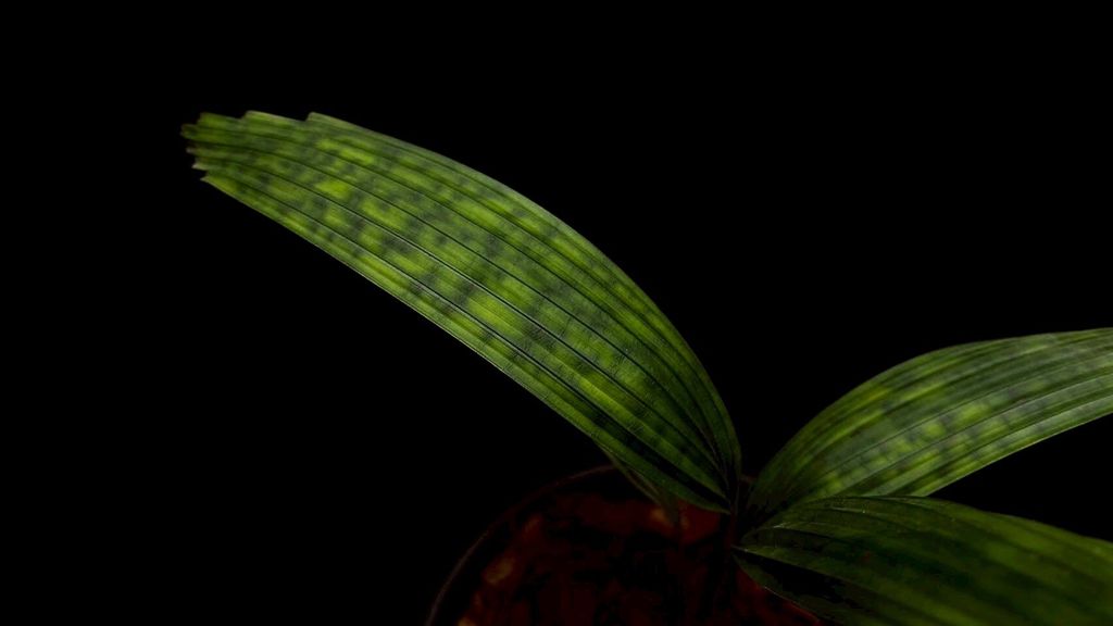 LINE_ALBUM_20251228_251228_13