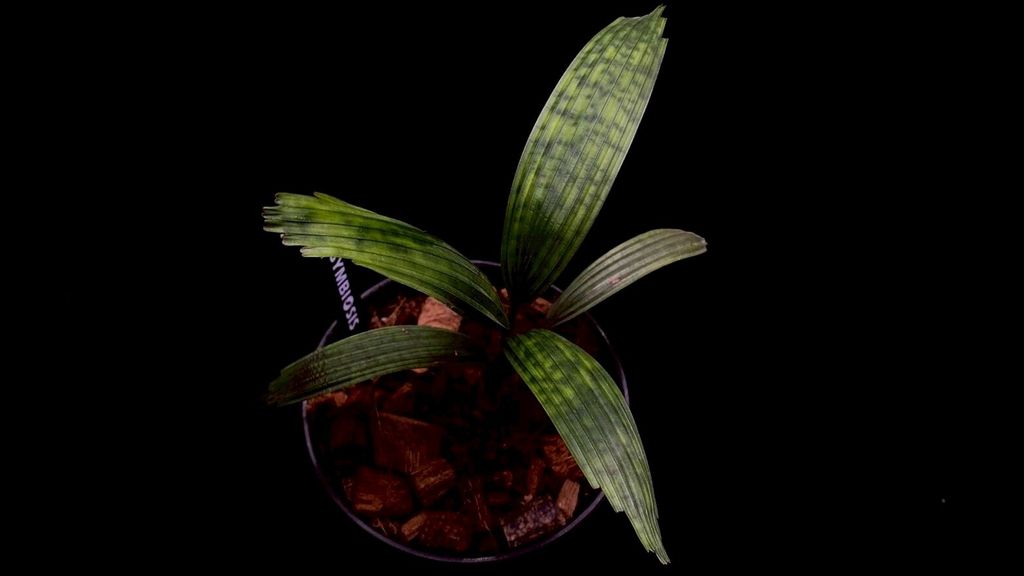 LINE_ALBUM_20251228_251228_14