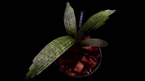 LINE_ALBUM_20251228_251228_12