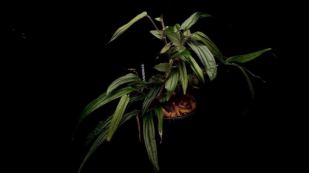 LINE_ALBUM_20251228_251228_88