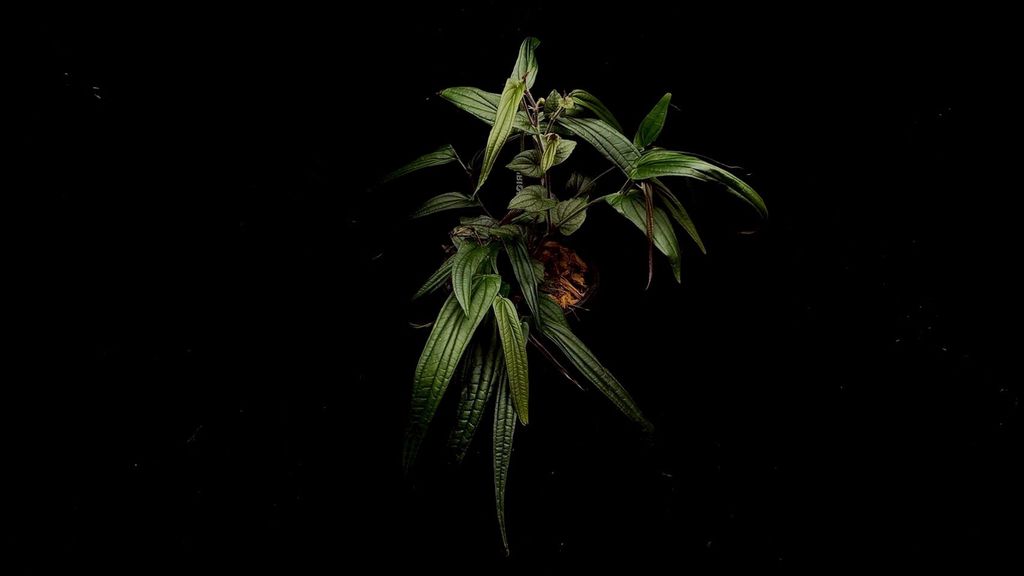 LINE_ALBUM_20251228_251228_87