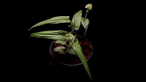 LINE_ALBUM_20251228_251228_1