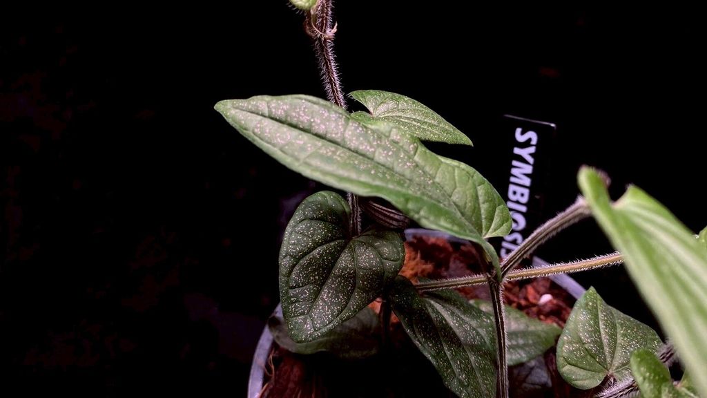 LINE_ALBUM_20251228_251228_89