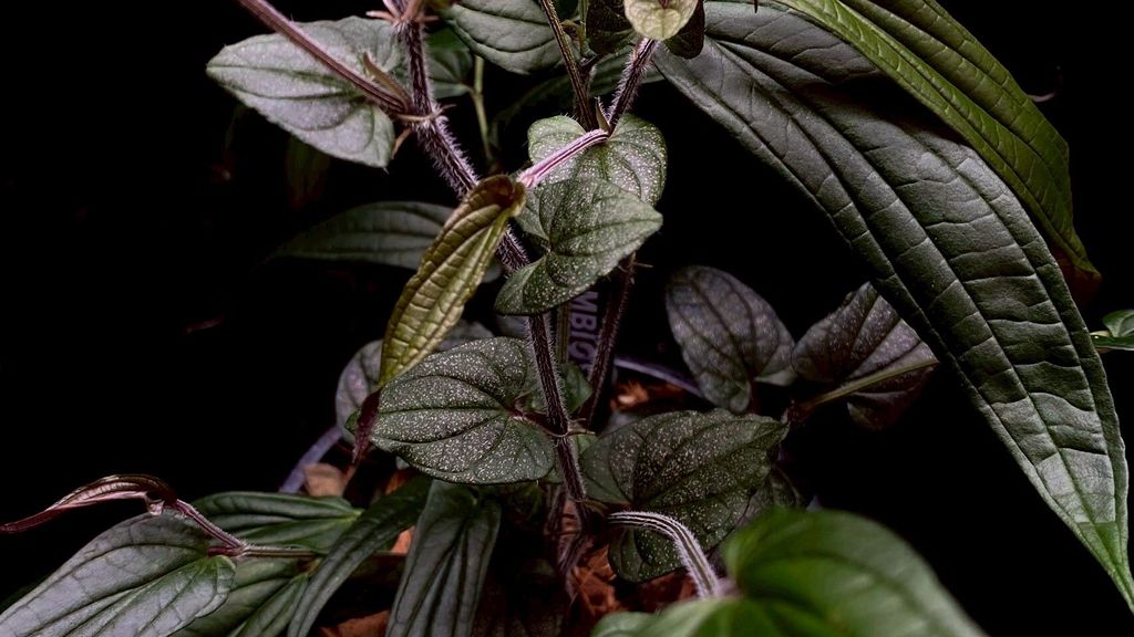 LINE_ALBUM_20251228_251228_84