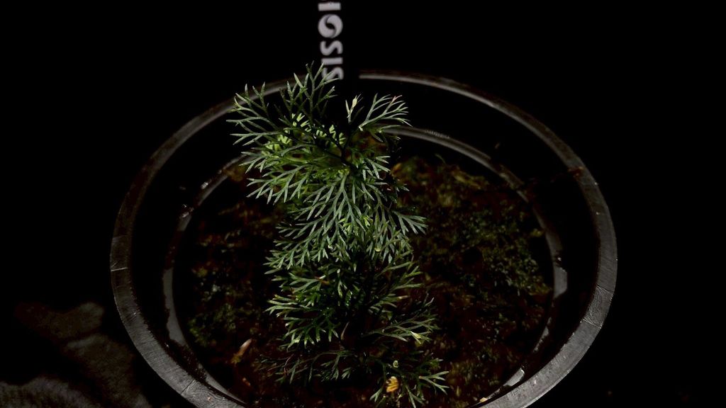 LINE_ALBUM_20251228_251228_20