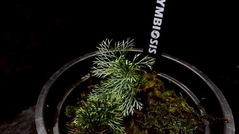 LINE_ALBUM_20251228_251228_21