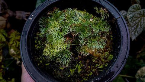 605856542_25544910971812897_5373728497005628678_n