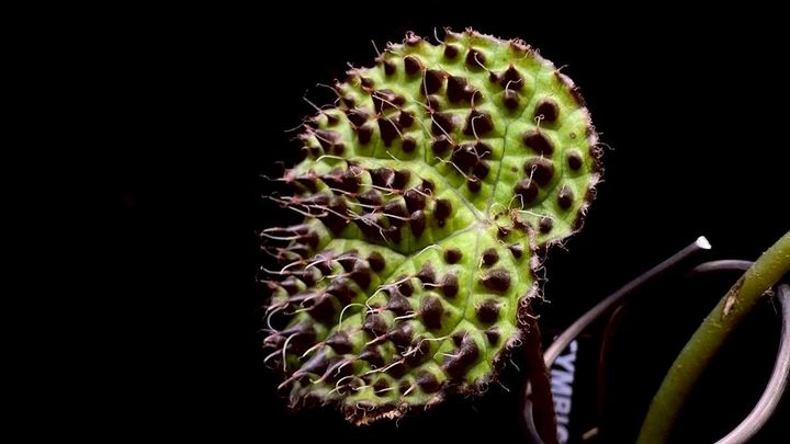 LINE_ALBUM_20251228_251228_29