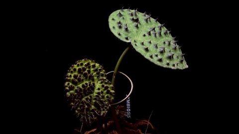 LINE_ALBUM_20251228_251228_26