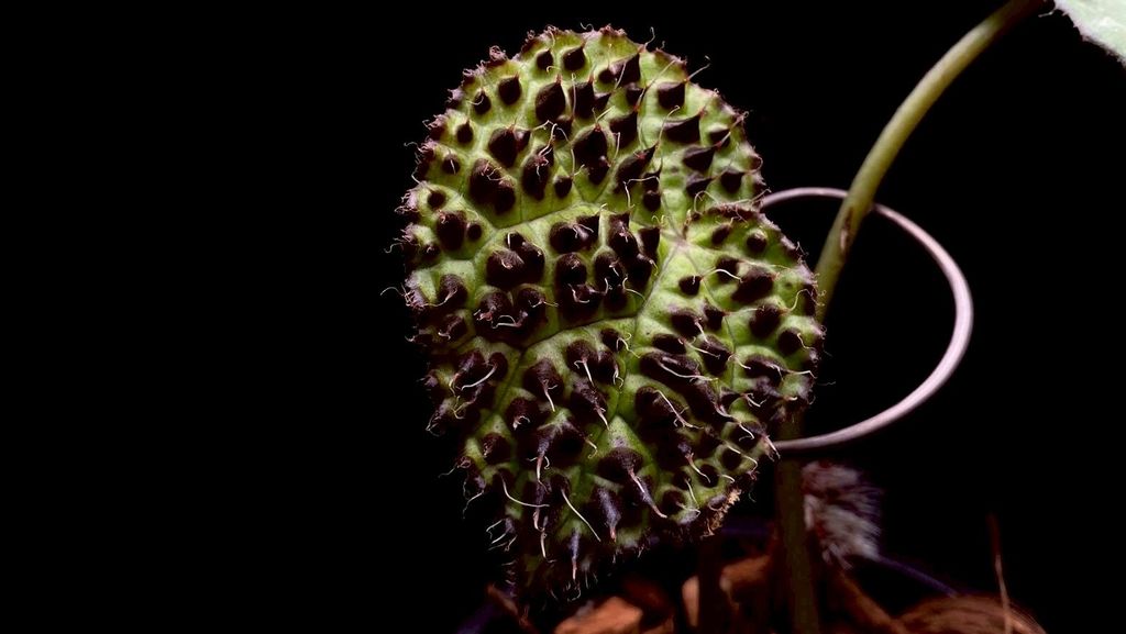 LINE_ALBUM_20251228_251228_24