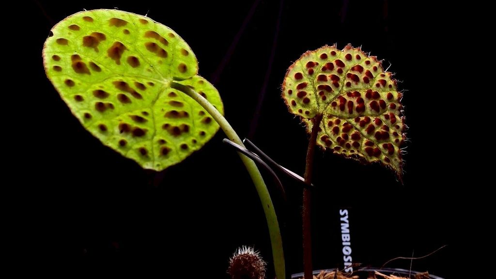 LINE_ALBUM_20251228_251228_25