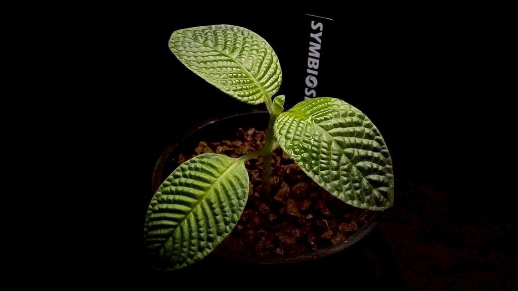 LINE_ALBUM_20251228_251228_30