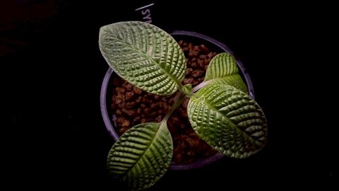 LINE_ALBUM_20251228_251228_32