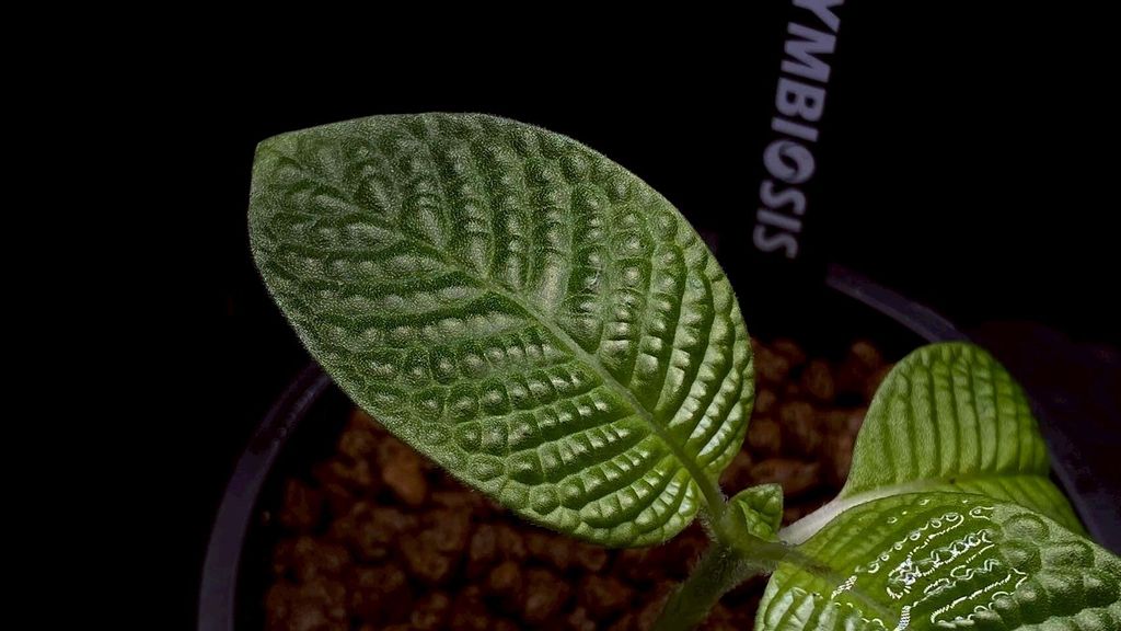 LINE_ALBUM_20251228_251228_31