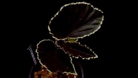 LINE_ALBUM_20251228_251228_35