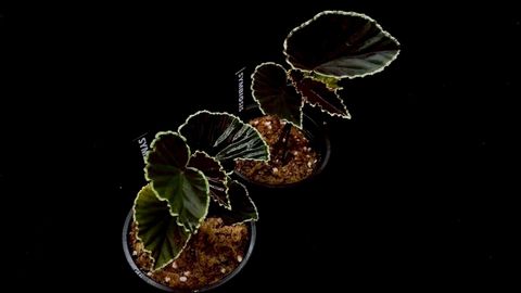 LINE_ALBUM_20251228_251228_36