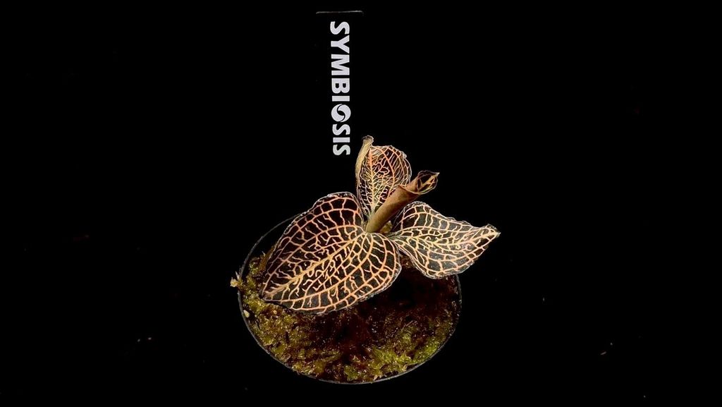 LINE_ALBUM_20251228_251228_53