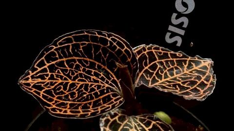 LINE_ALBUM_20251228_251228_50