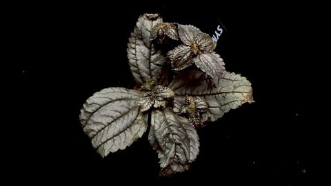 LINE_ALBUM_20251228_251228_44