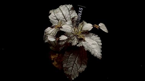 LINE_ALBUM_20251228_251228_48